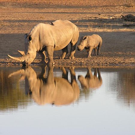 Etali Safari Lodge 매디퀘동물보호구역 외부 사진